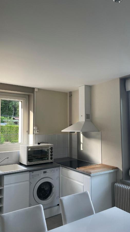 Appartement La Fourmi Verte Bruyeres Bagian luar foto